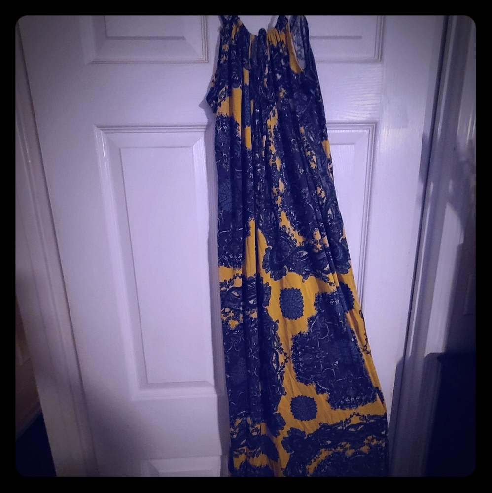 Nieves Lavi silk Maxi dress